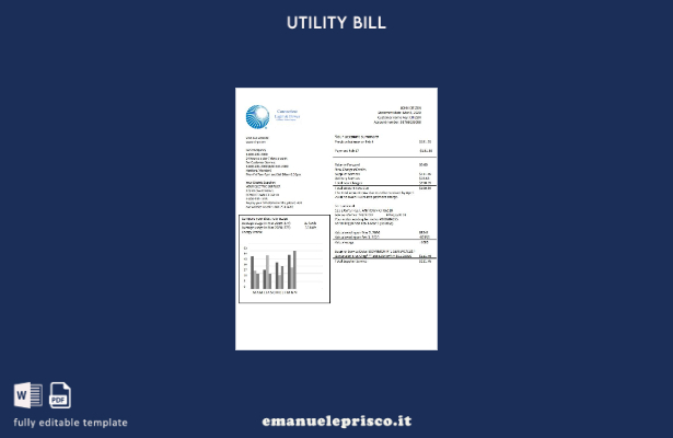 modello di bolletta elettrica USA Connecticut Light & Power in stile verificato